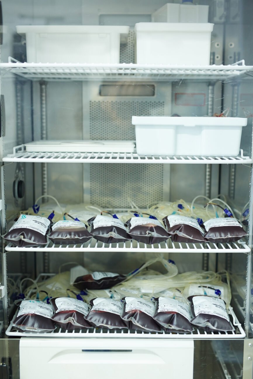 Incubation / Thermostatting